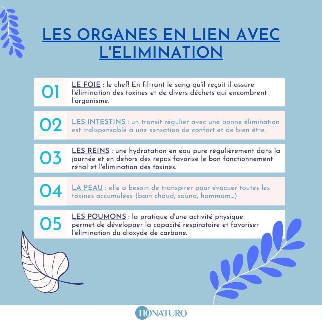 Conseils detox printemps par le cabinet naturopathe HONATURO
