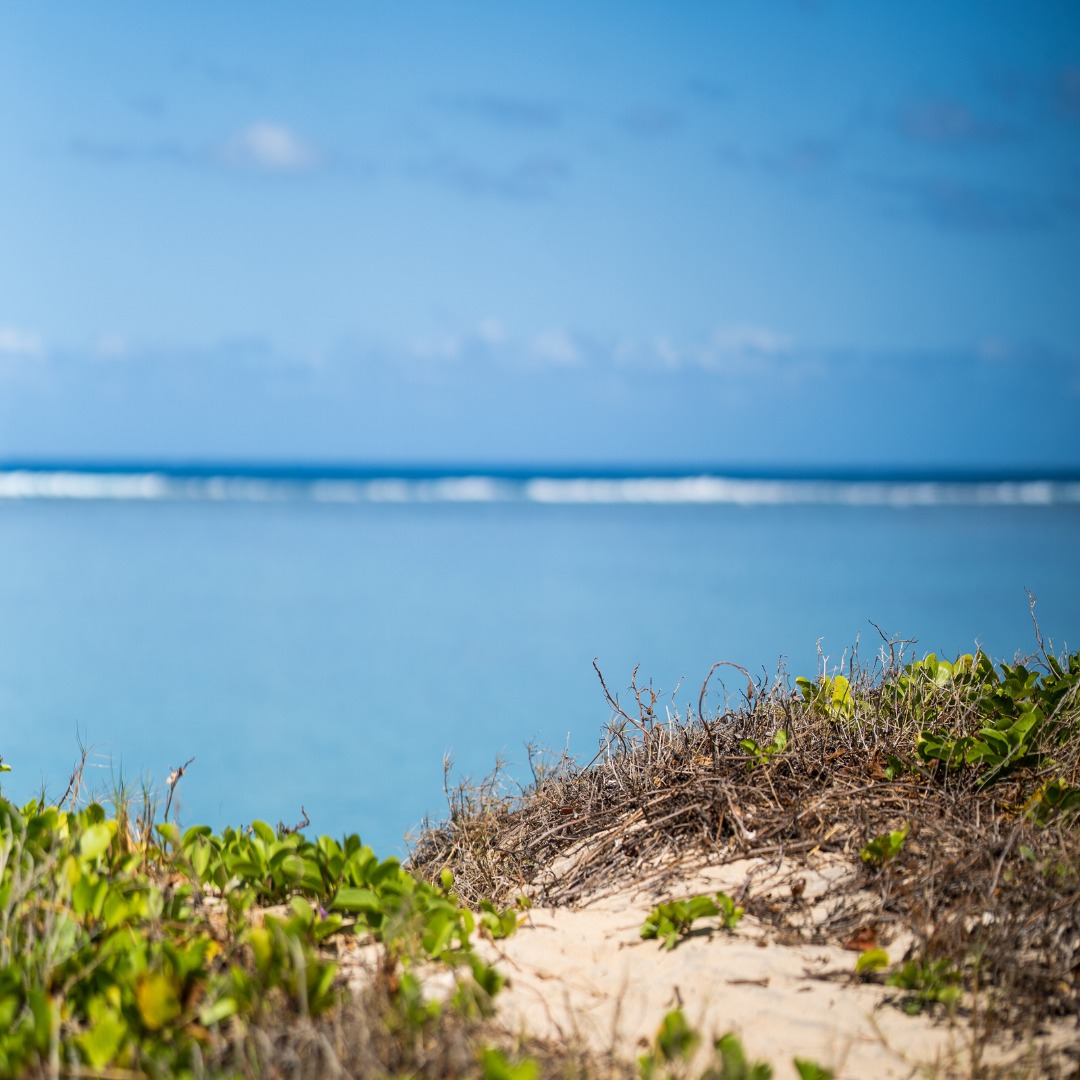 Ton Horizon par le cabinet naturopathe HONATURO