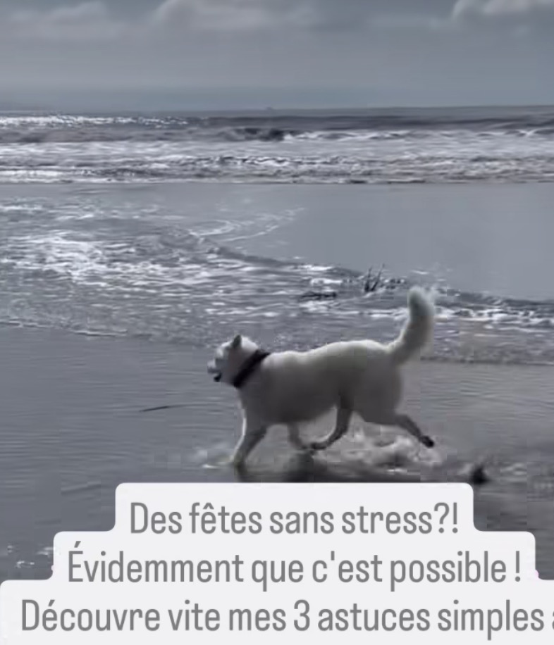 3 astuces pour garder ton énergie et ne pas subir le stress des fêtes par le cabinet naturopathe HONATURO
