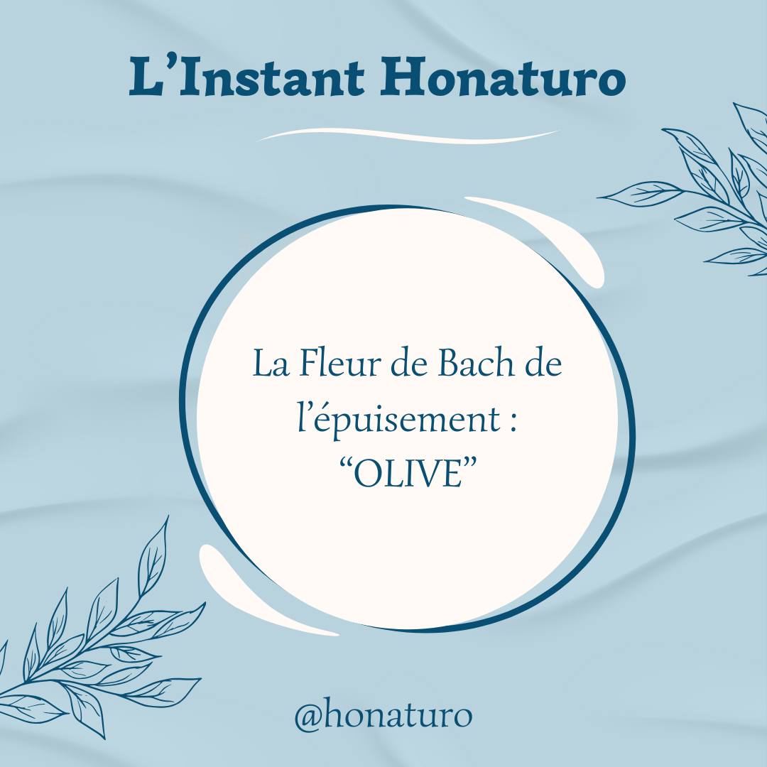 Fleur de Bach Olive par le cabinet naturopathie HONATURO