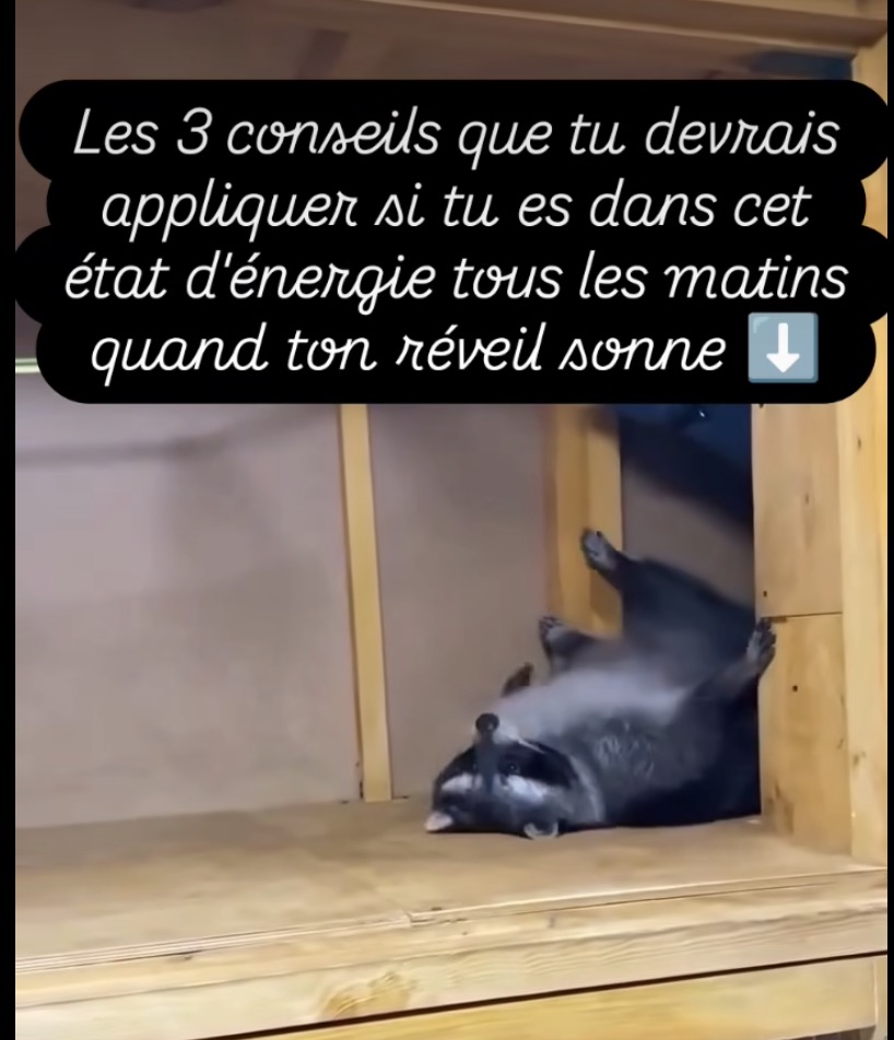 3 conseils que tu devrais appliquer par le cabinet naturopathe HONATURO