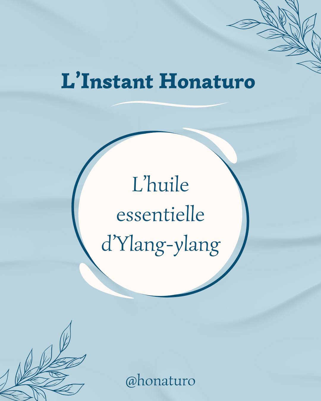 L’huile Essentielle D’ylang-Ylang par le cabinet naturopathie HONATURO