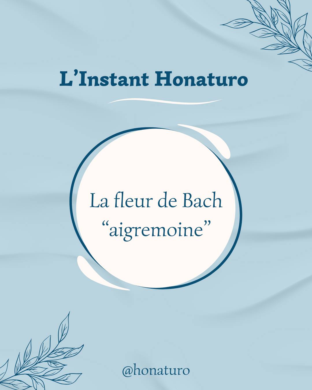 Fleur de Bach N°1 par le cabinet naturopathie HONATURO