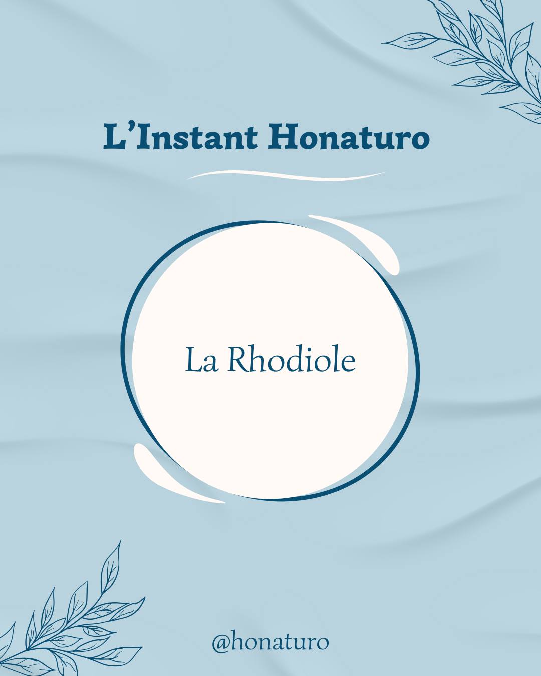 La Rhodiole par le cabinet naturopathie HONATURO