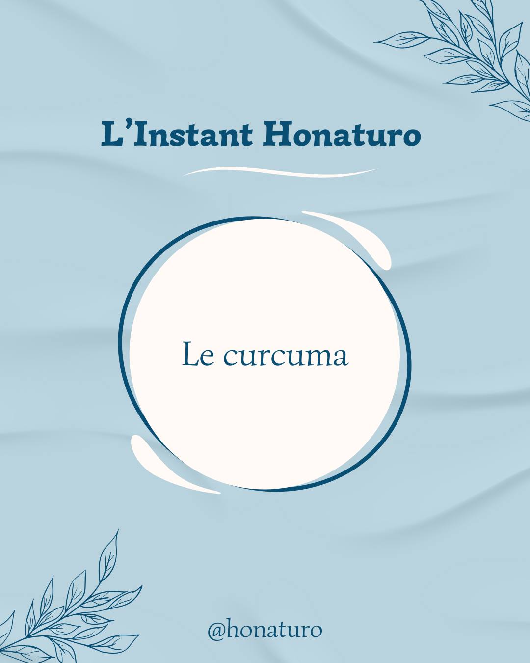 Le curcuma par le cabinet naturopathie HONATURO