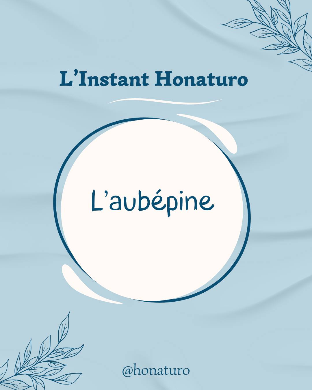 L'Aubépine par le cabinet naturopathie HONATURO