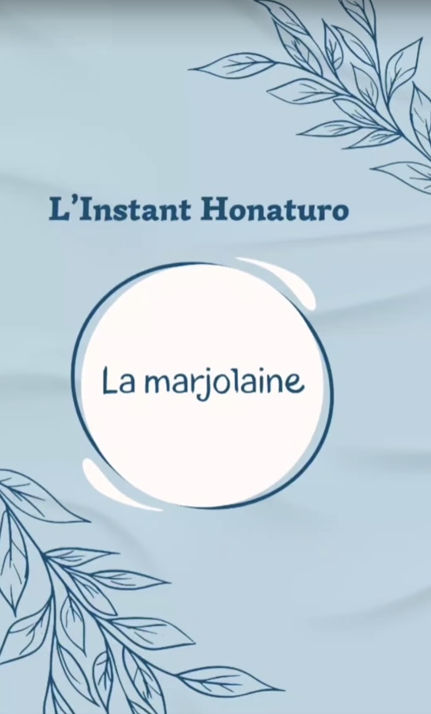 L'huile essentielle de Marjolaine à coquille en live par le cabinet naturopathie HONATURO