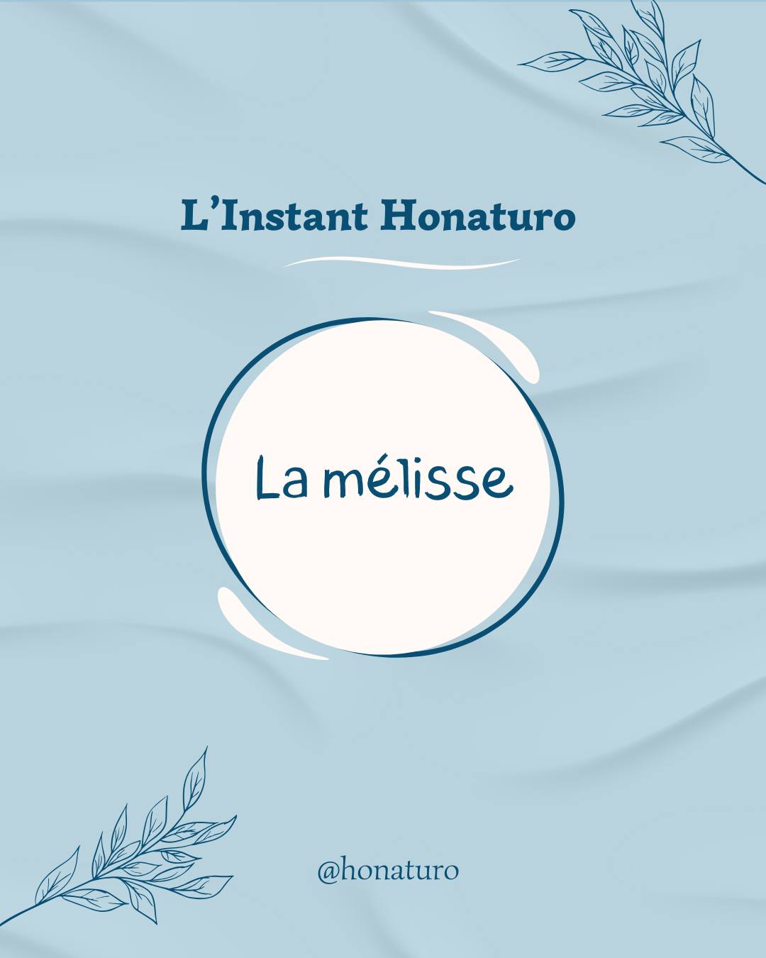 La mélisse par le cabinet naturopathie HONATURO