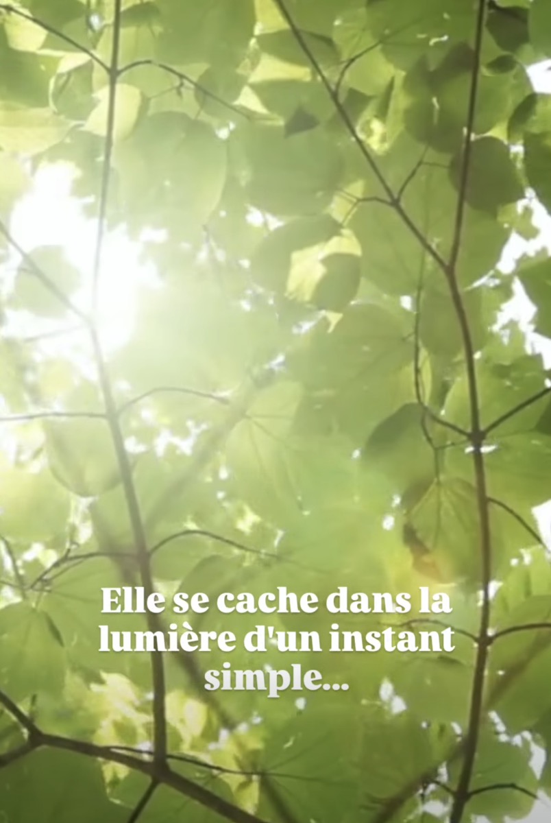 La Joie se cache parfois par le cabinet naturopathe HONATURO