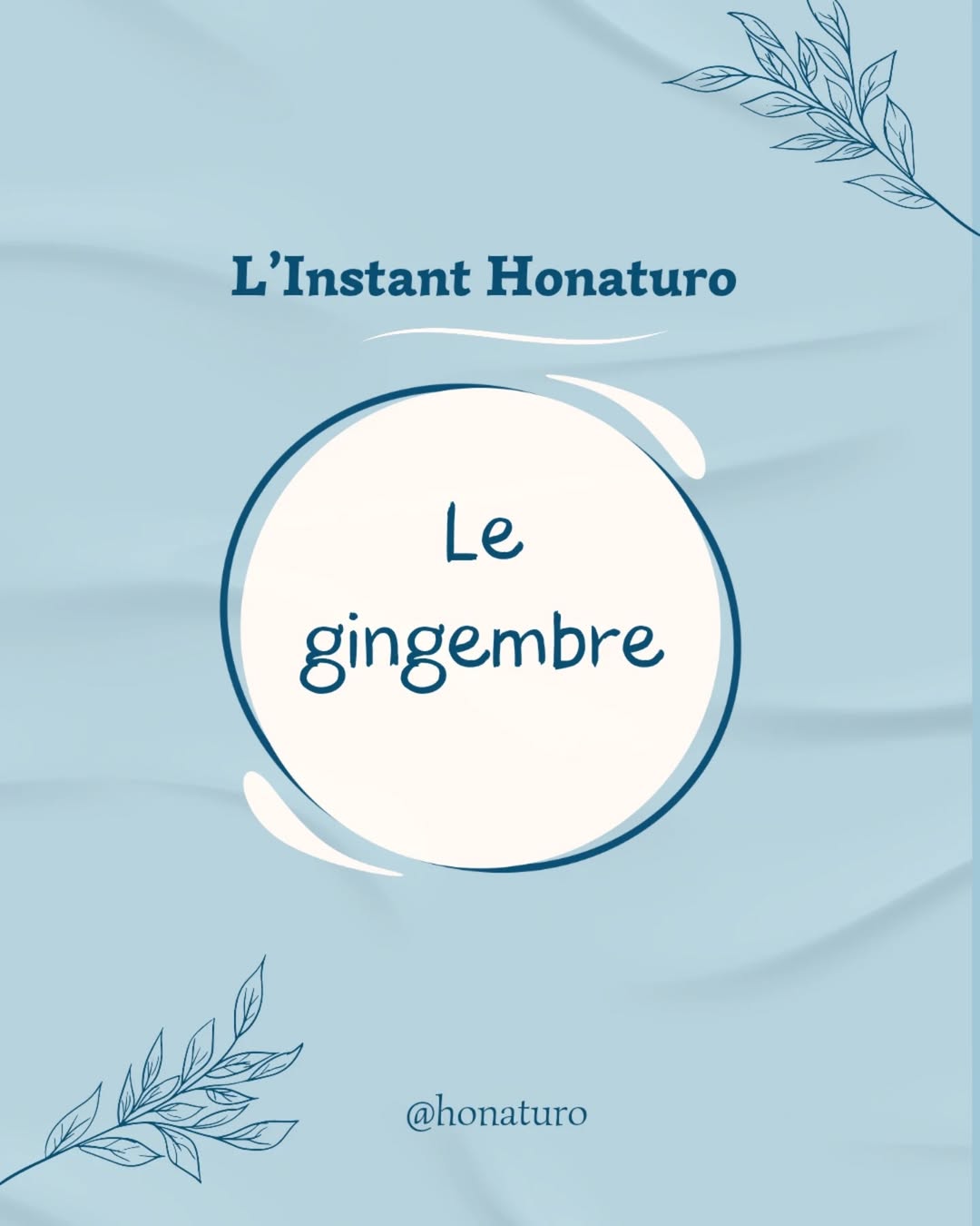 Le Gingembre par le cabinet naturopathie HONATURO