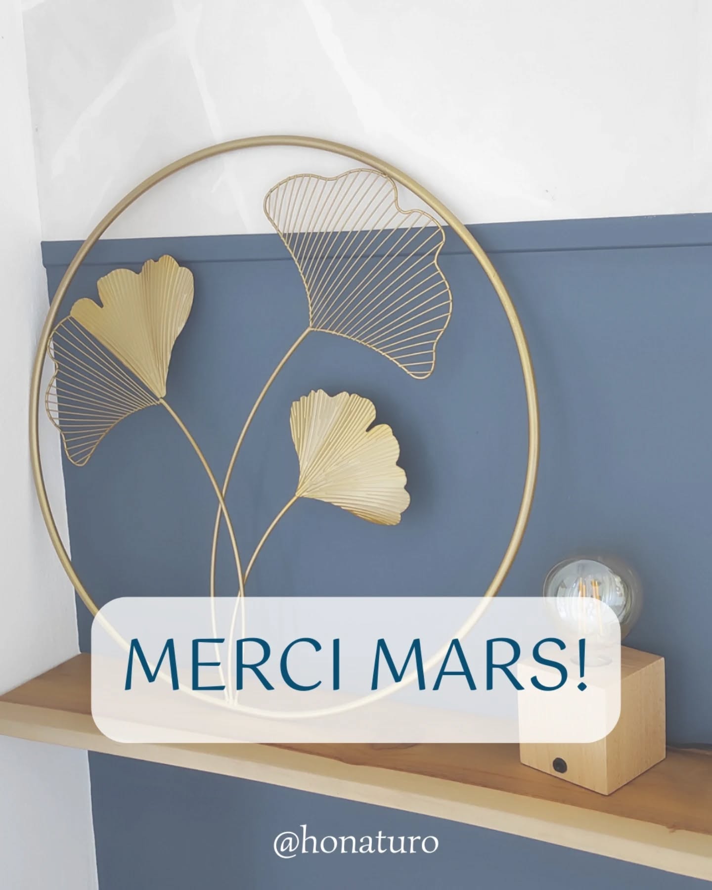 Merci MARS par le cabinet naturopathe HONATURO